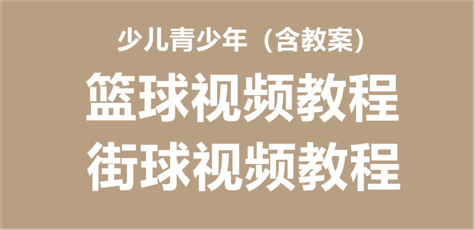 少儿篮球青少年篮球培训街头篮球基础教学打篮球视频训练教程